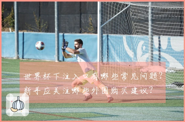 世界杯下注入口有哪些常见问题？新手应关注哪些外围购买建议？