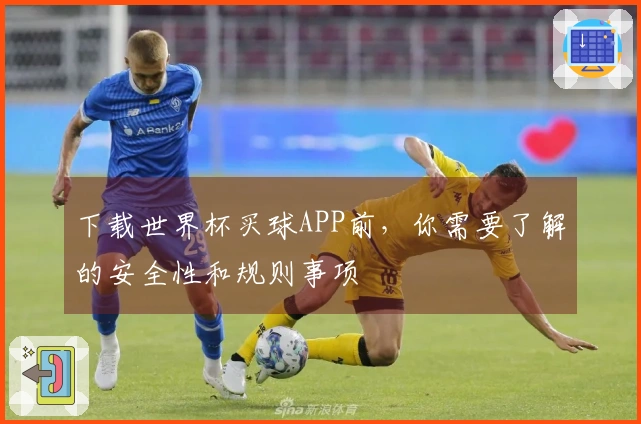 下载世界杯买球APP前，你需要了解的安全性和规则事项