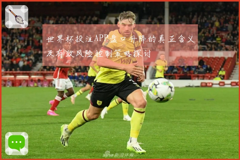 世界杯投注APP盘口升降的真正含义及有效风险控制策略探讨