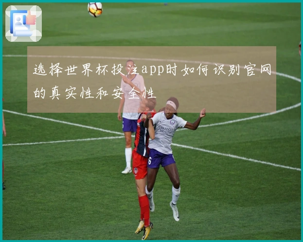选择世界杯投注app时如何识别官网的真实性和安全性