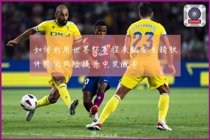 如何利用世界杯赛程表配合竞猜软件降低风险提升中奖概率