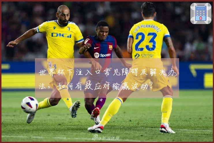 世界杯下注入口常见障碍及解决办法，如何有效应对输赢波动？