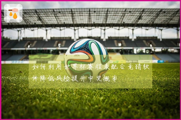 如何利用世界杯赛程表配合竞猜软件降低风险提升中奖概率