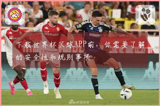下载世界杯买球APP前，你需要了解的安全性和规则事项