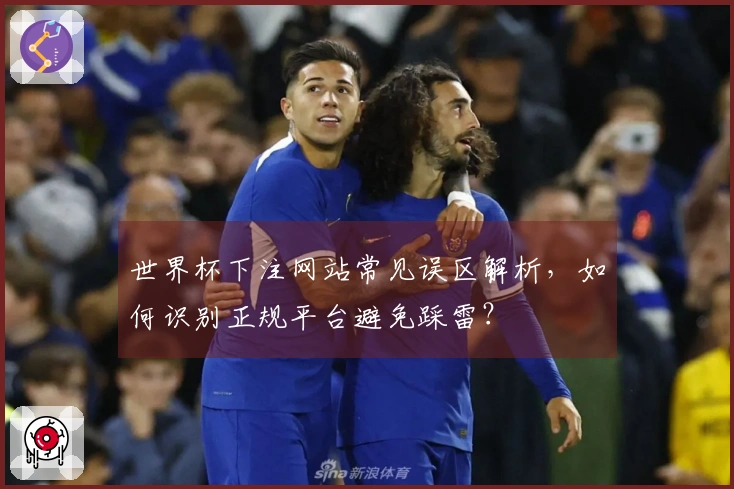 世界杯下注网站常见误区解析，如何识别正规平台避免踩雷？