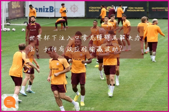 世界杯下注入口常见障碍及解决办法，如何有效应对输赢波动？