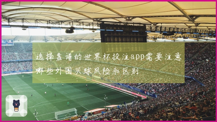 选择靠谱的世界杯投注app需要注意哪些外围买球风险和区别