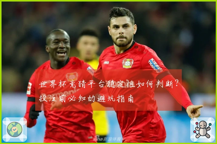 世界杯竞猜平台稳定性如何判断？投注前必知的避坑指南
