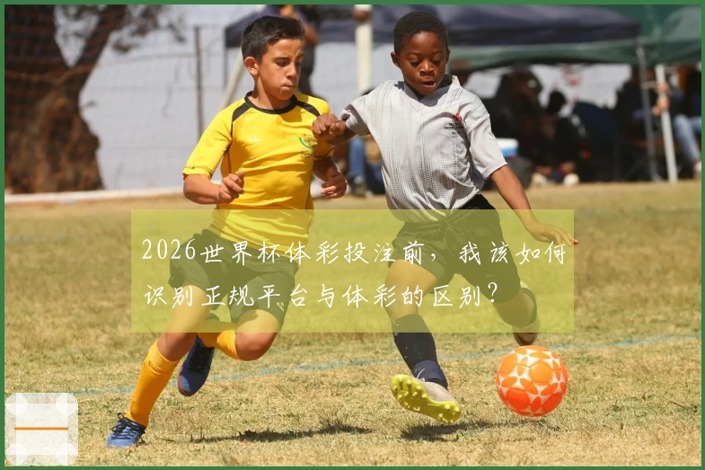 2026世界杯体彩投注前，我该如何识别正规平台与体彩的区别？