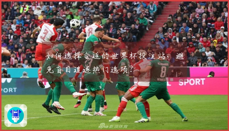 如何选择合适的世界杯投注站,避免盲目追逐热门选项?
