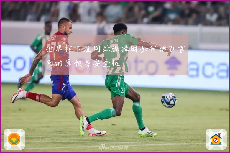 世界杯下注网站选择时如何辨别官网的真假与安全性