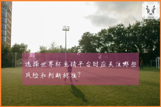 选择世界杯竞猜平台时应关注哪些风险和判断标准？
