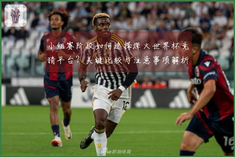 小组赛阶段如何选择烽火世界杯竞猜平台？关键比较与注意事项解析