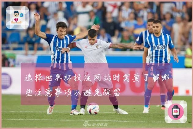 选择世界杯投注网站时需要了解哪些注意事项以避免踩雷