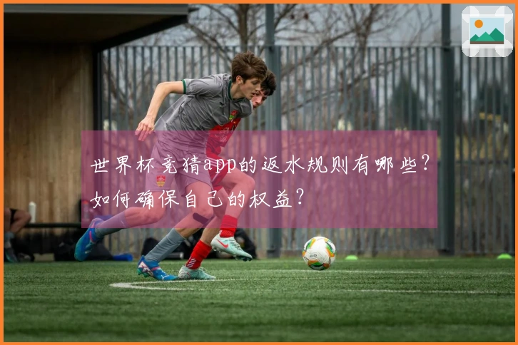 世界杯竞猜app的返水规则有哪些？如何确保自己的权益？