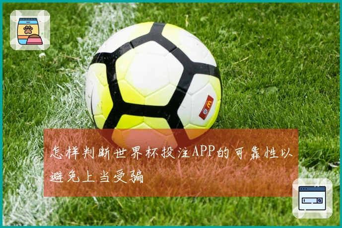 怎样判断世界杯投注APP的可靠性以避免上当受骗