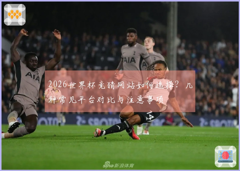 2026世界杯竞猜网站如何选择？几种常见平台对比与注意事项
