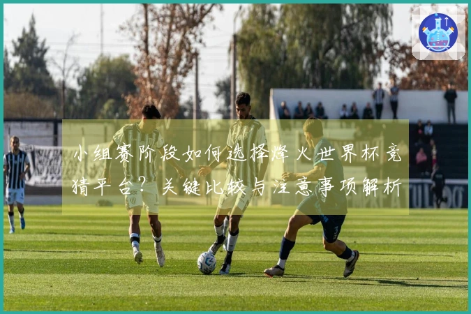 小组赛阶段如何选择烽火世界杯竞猜平台？关键比较与注意事项解析