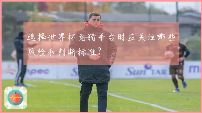选择世界杯竞猜平台时应关注哪些风险和判断标准？