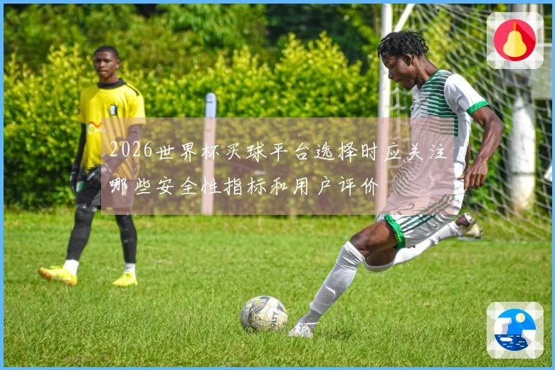 2026世界杯买球平台选择时应关注哪些安全性指标和用户评价