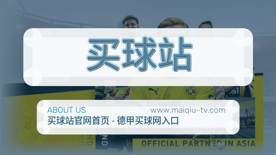 关于 买球站